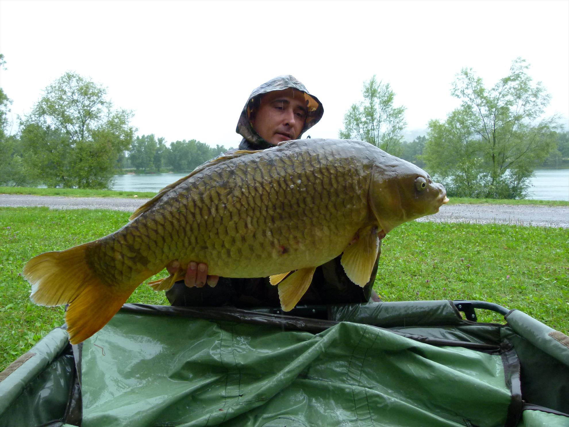 regiune Rhône-Alpes 29 iulie 2014 - p1040160.JPG